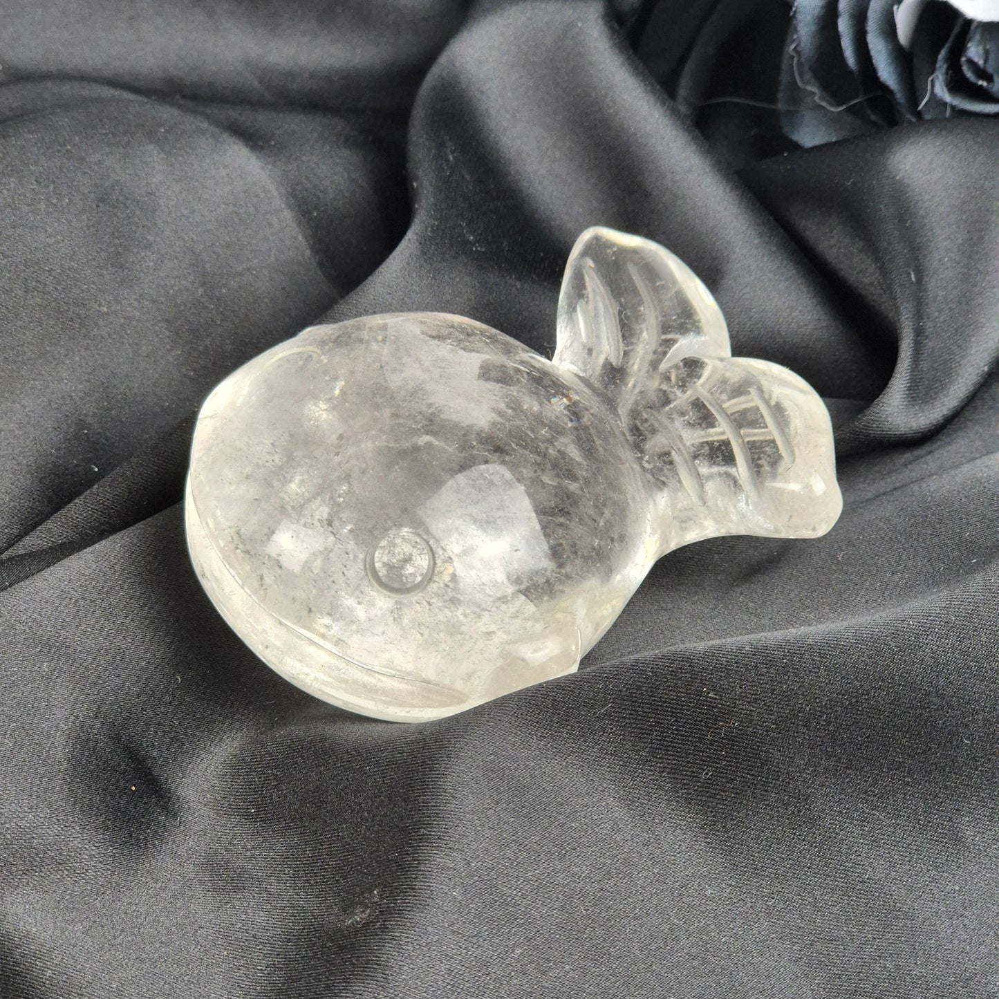Clear quarts fish 1