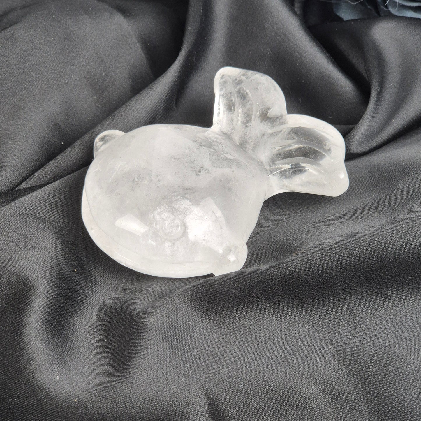 Clear quarts fish 2