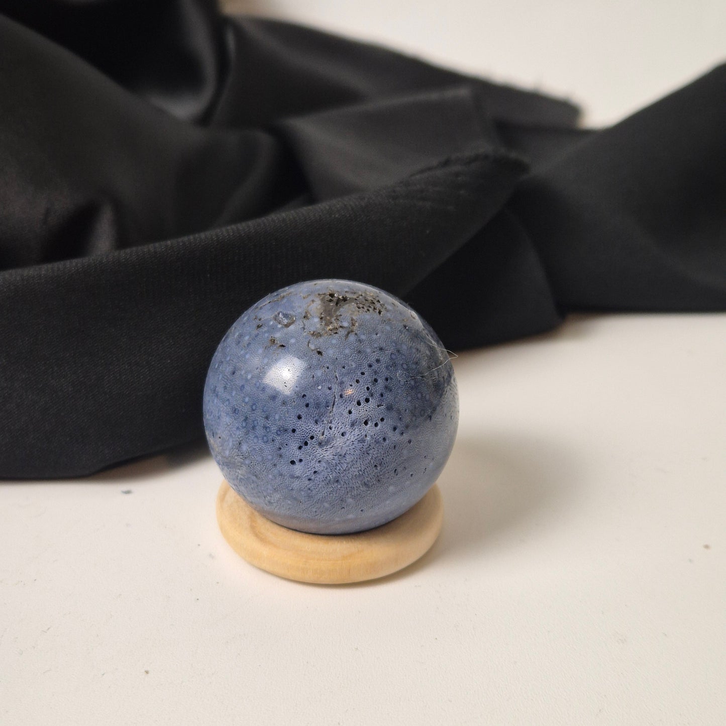 Blue coral sphere 4 (Indonesia)