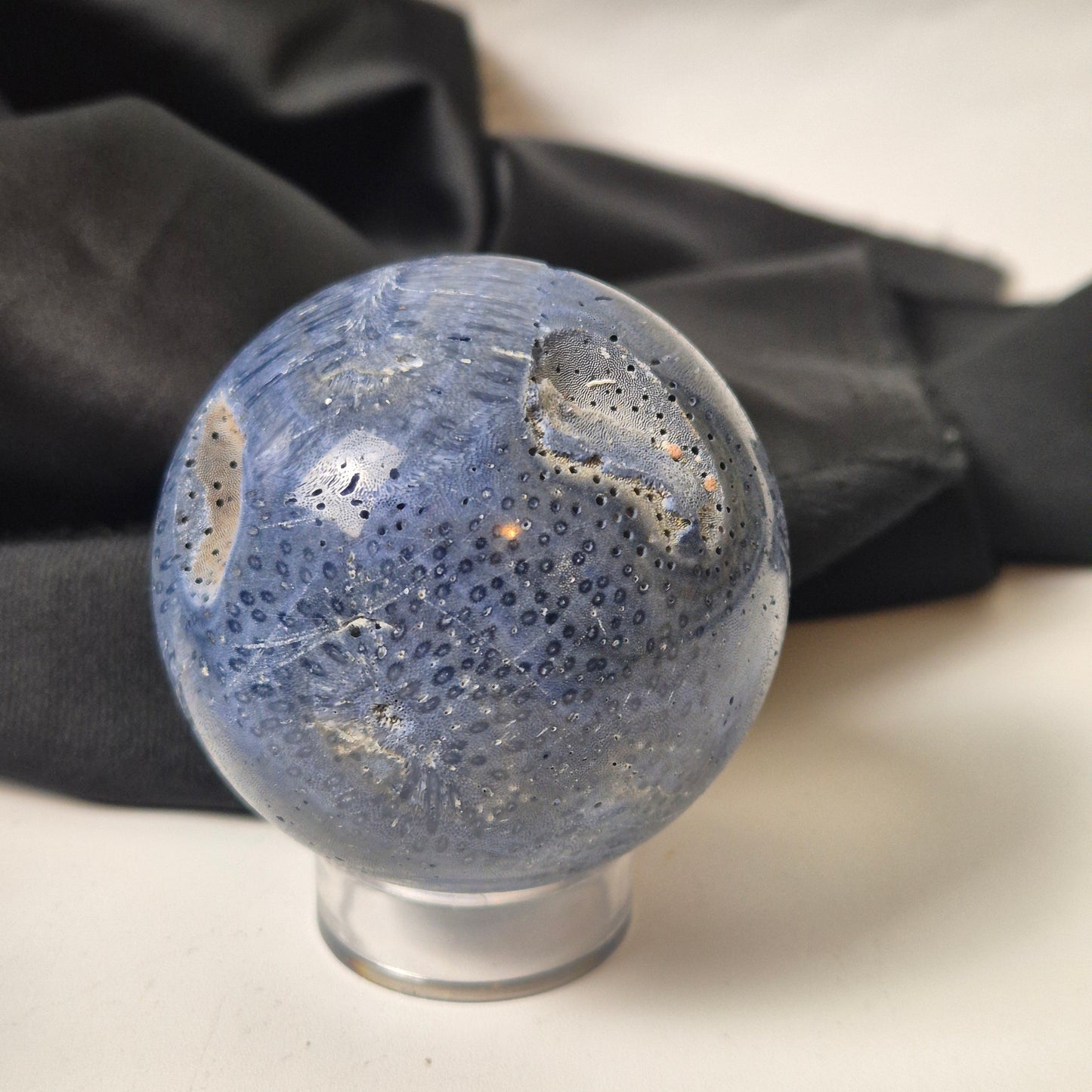 Blue coral sphere 6 (Indonesia)