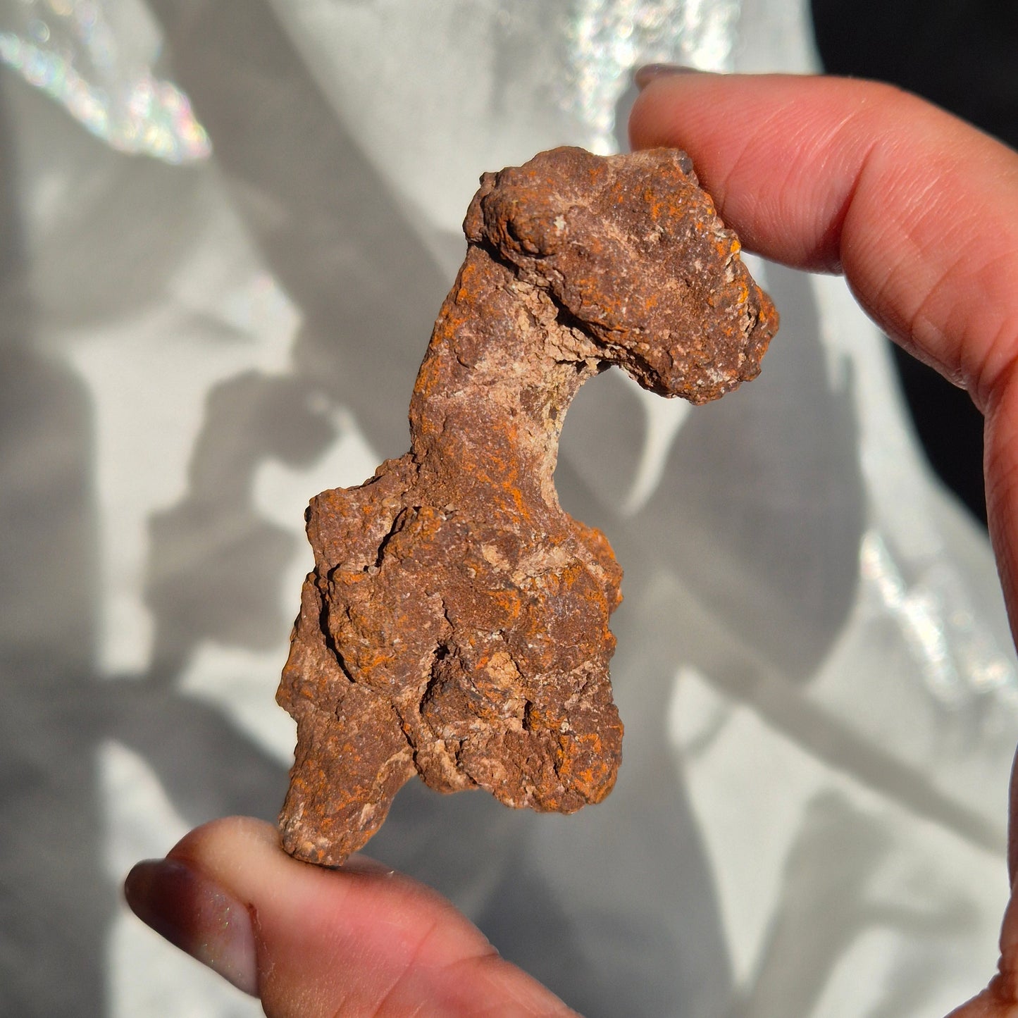 Coprolite big 1