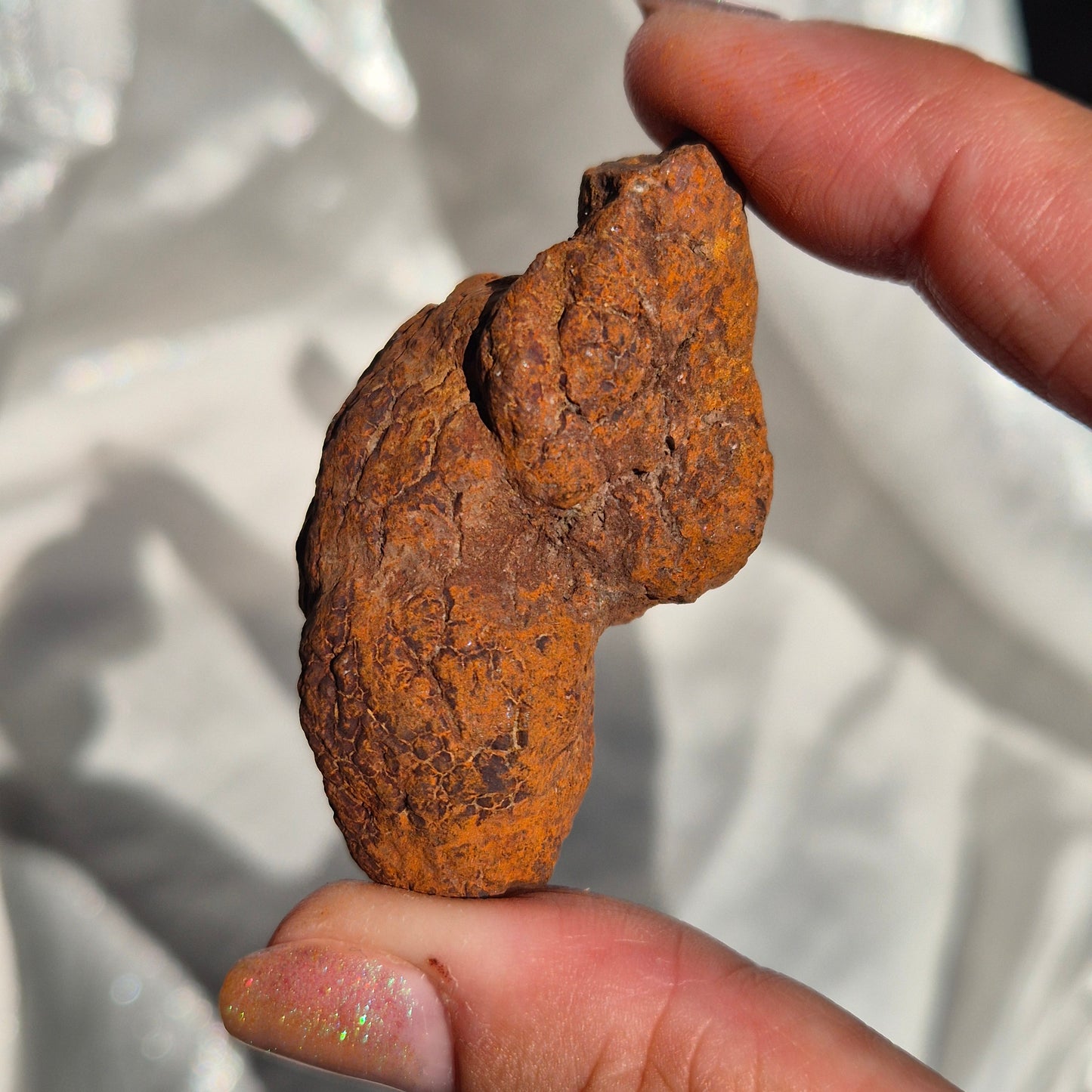 Coprolite big 6
