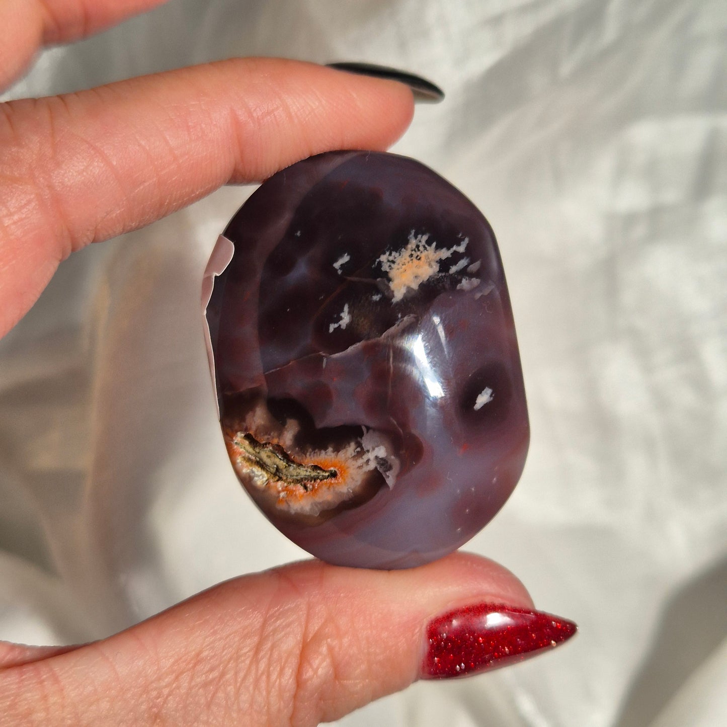 Swazi agate palm 10