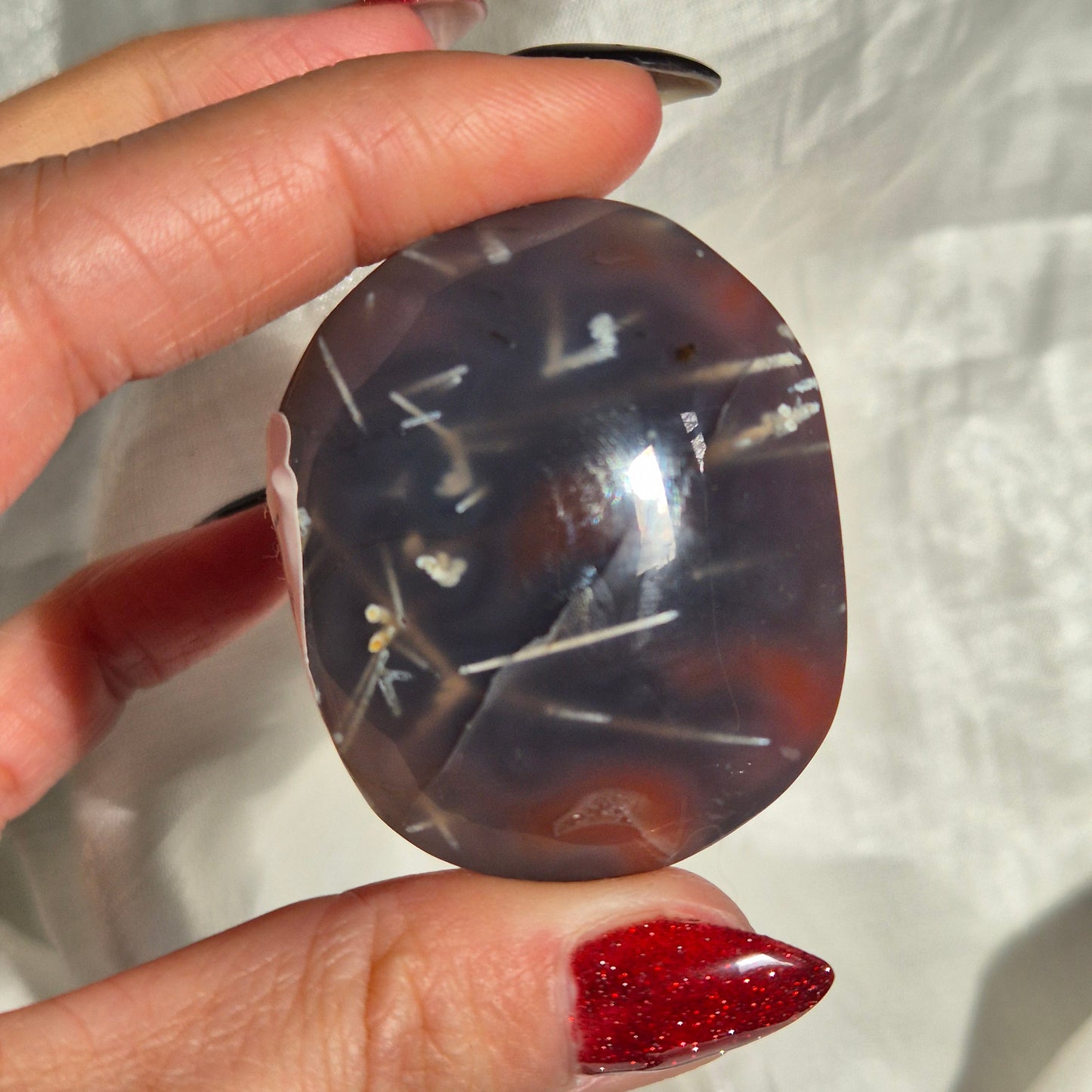 Swazi agate palm 17