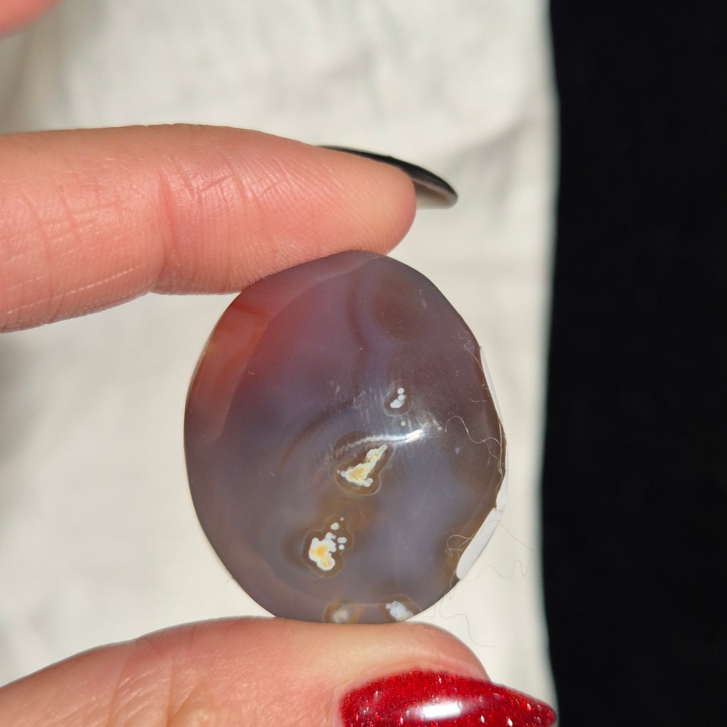 Swazi agate palm 34