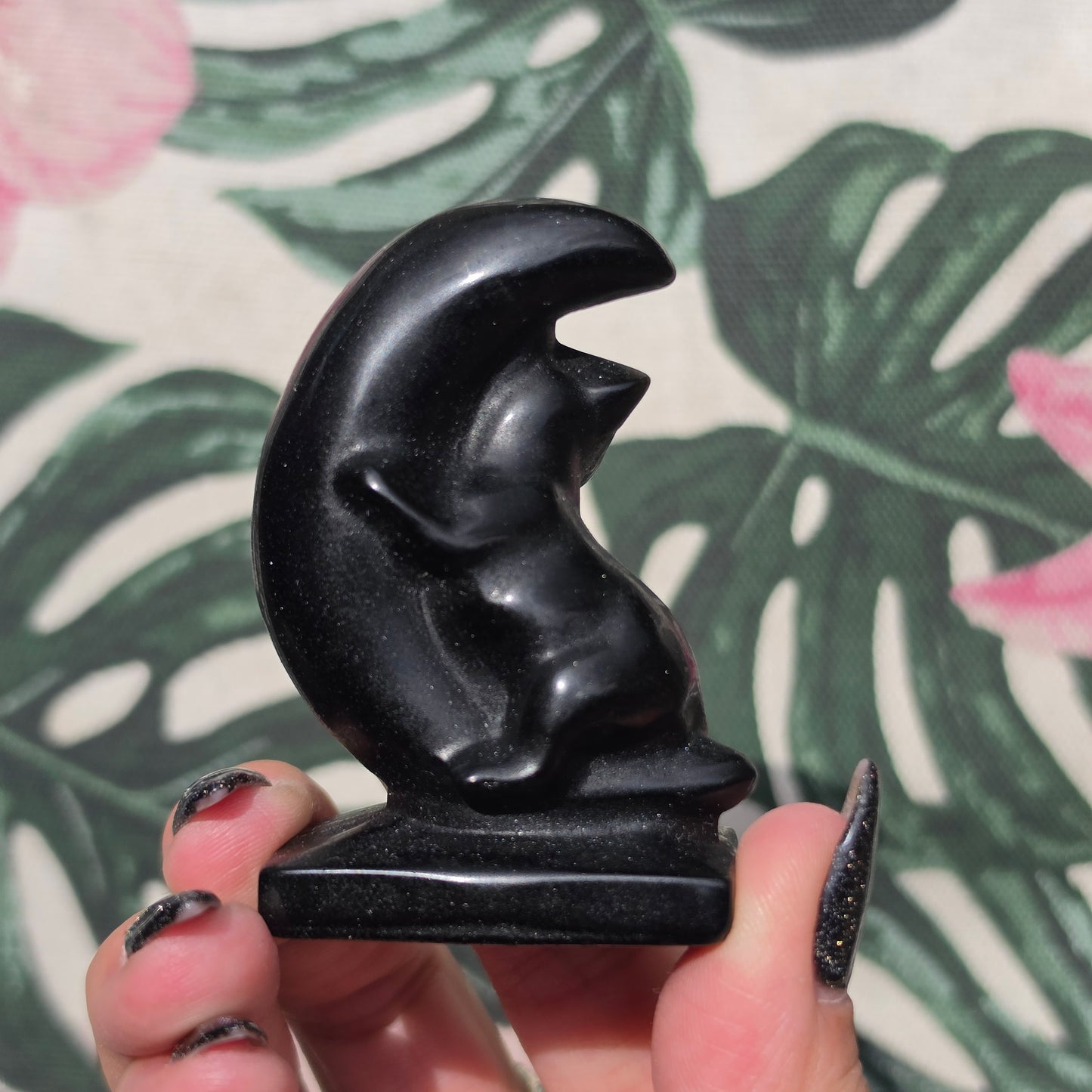 black obsidian cat on moon