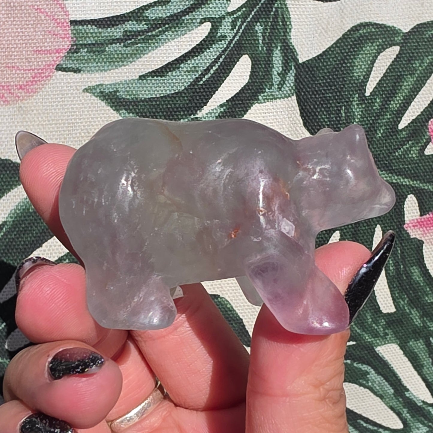 fluorite bear 1