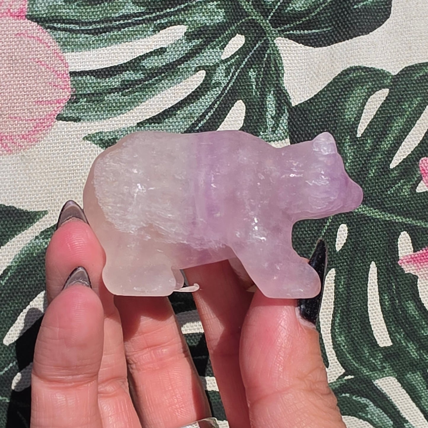 fluorite bear 4