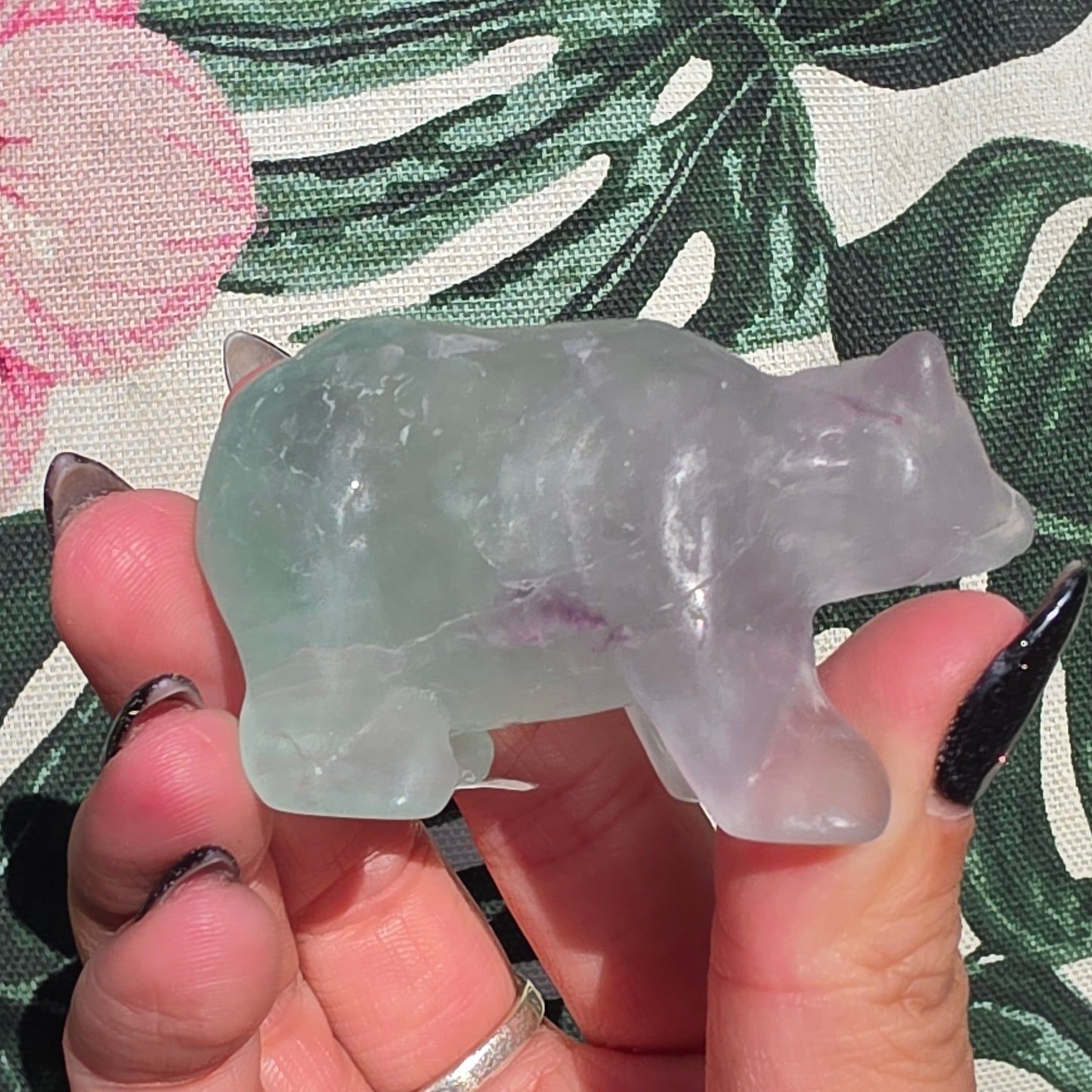 fluorite bear 5
