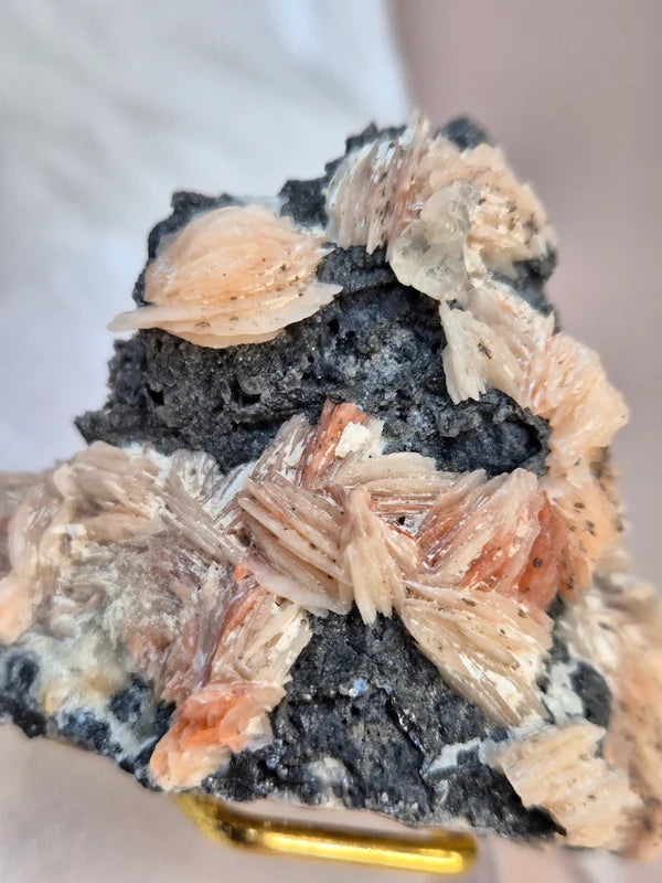 Baryte with galena 12