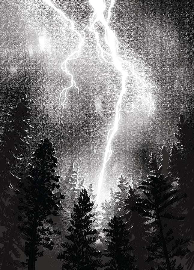 The bloodlands oracle