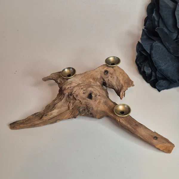 Driftwood sphere holder 16