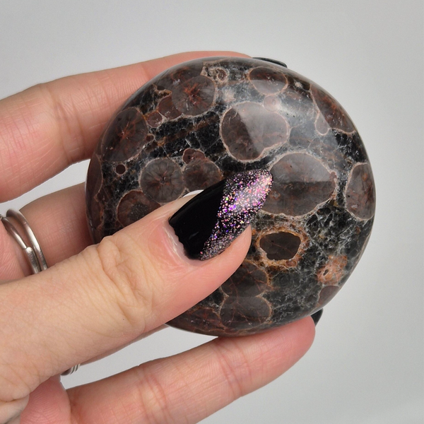 "Peanut" obsidian cookie 3