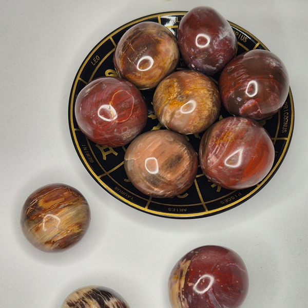 Petrified wood tumble