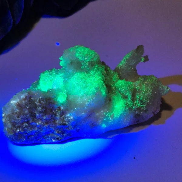 Ramshorn selenite 3