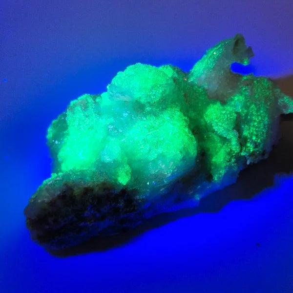 Ramshorn selenite 3