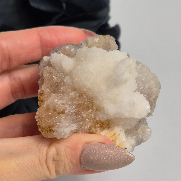 Ramshorn selenite 4