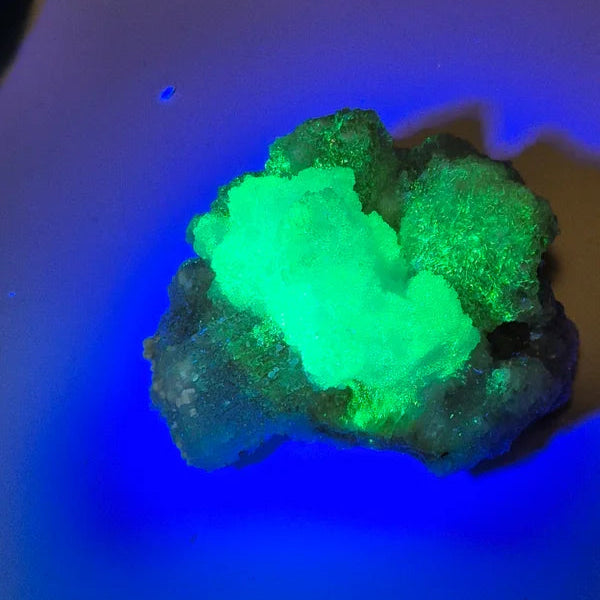Ramshorn selenite 4