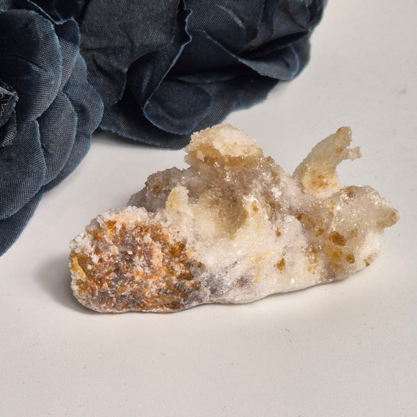 Ramshorn selenite 3