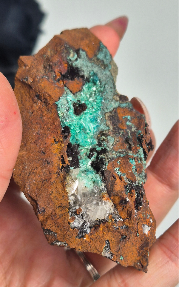 Rosasite 18
