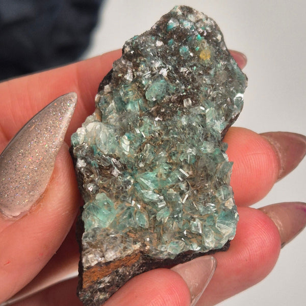 Rosasite 8