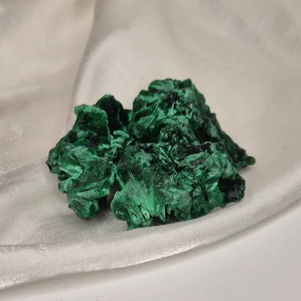 Velvet Malachite 2