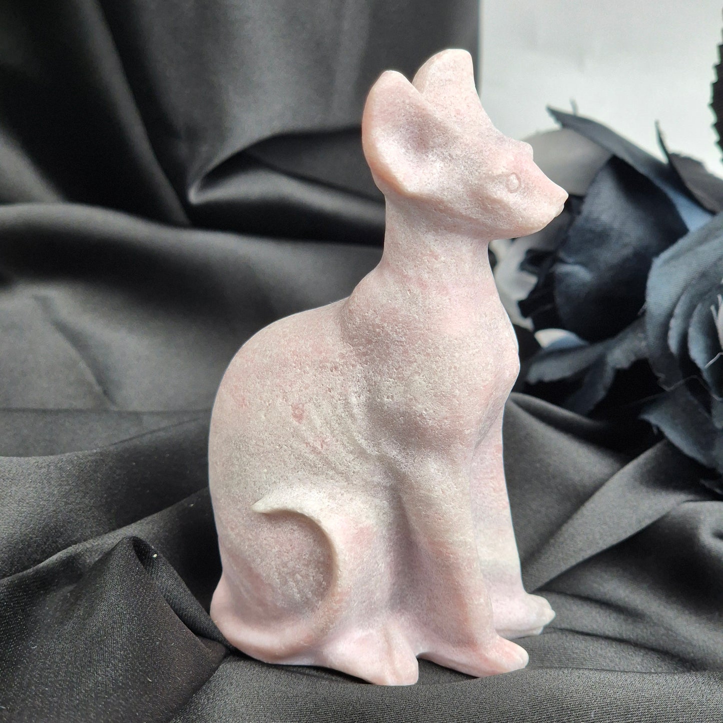 Pink opal cat