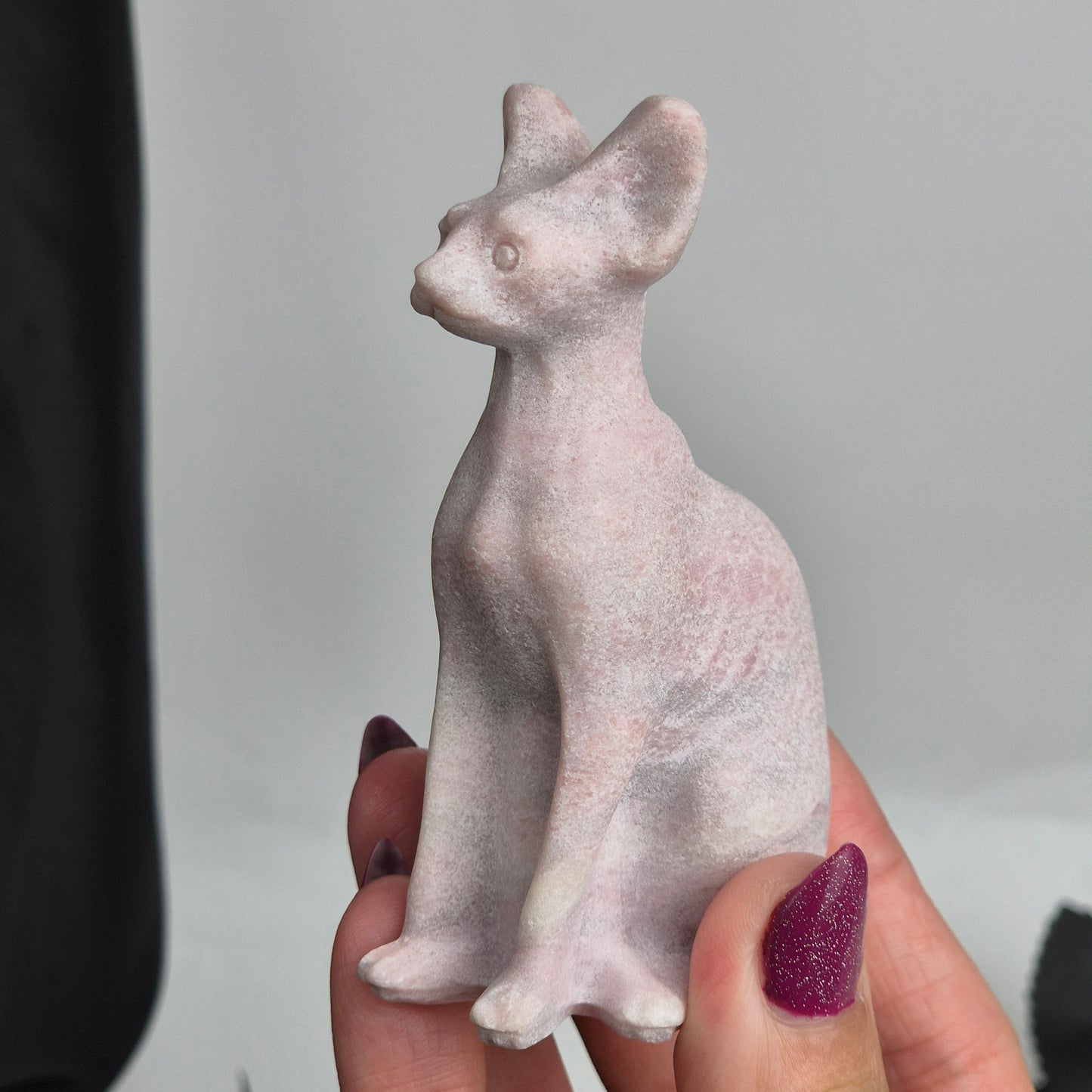 Pink opal cat