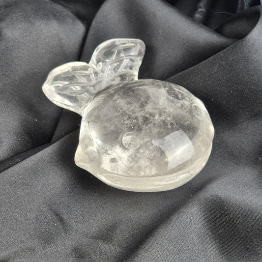 Clear quarts fish 1