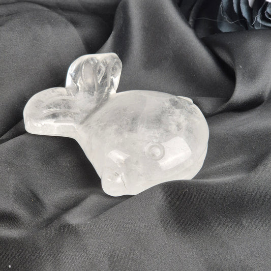 Clear quarts fish 2