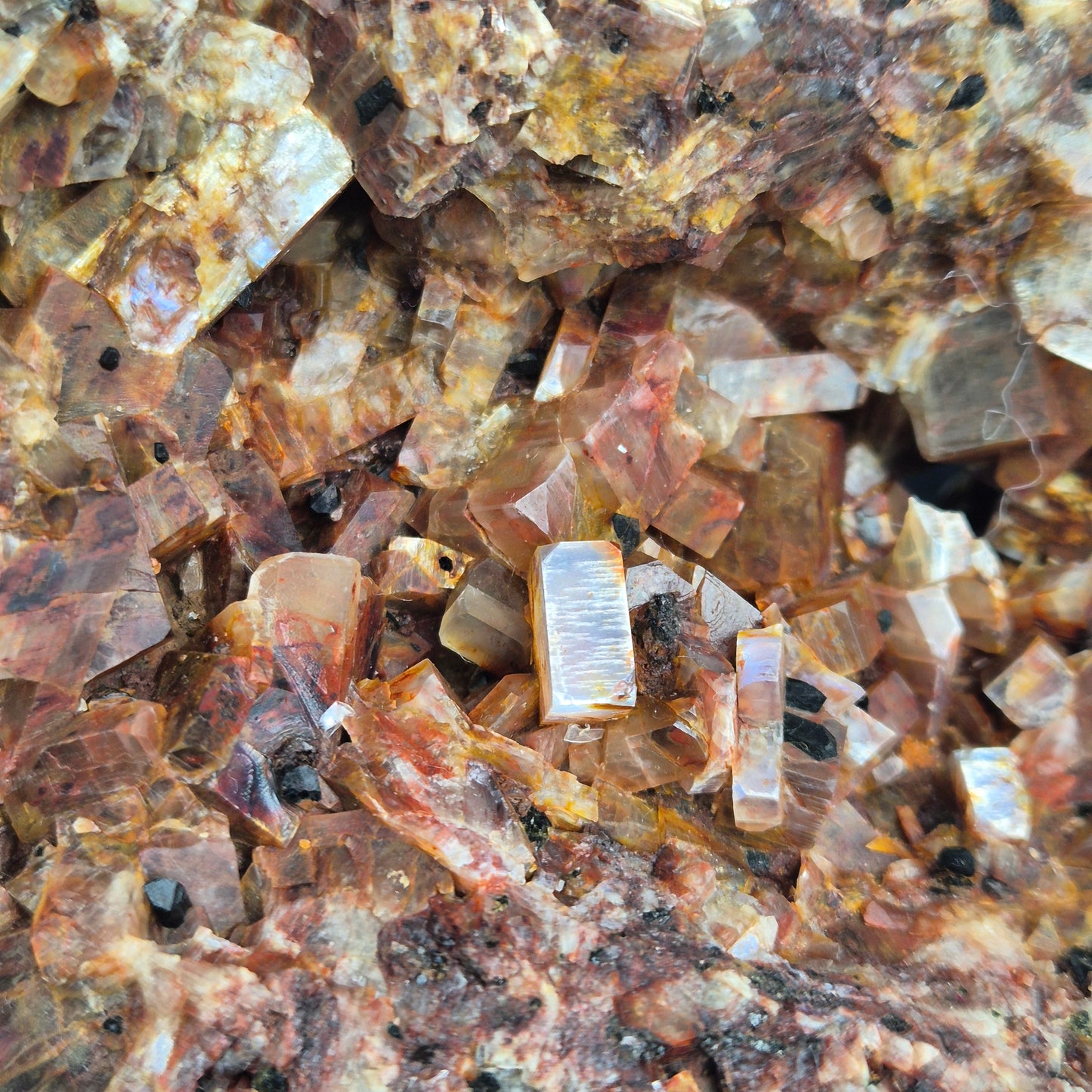 Anorthoclase 10 (Rare)