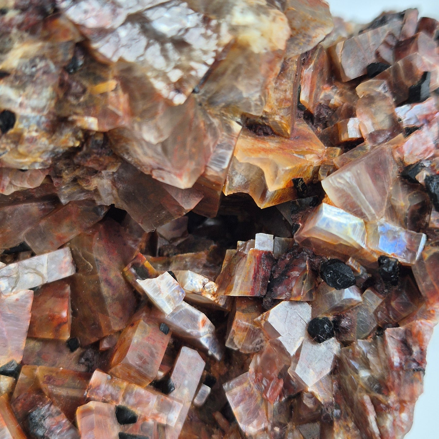Anorthoclase 10 (Rare)