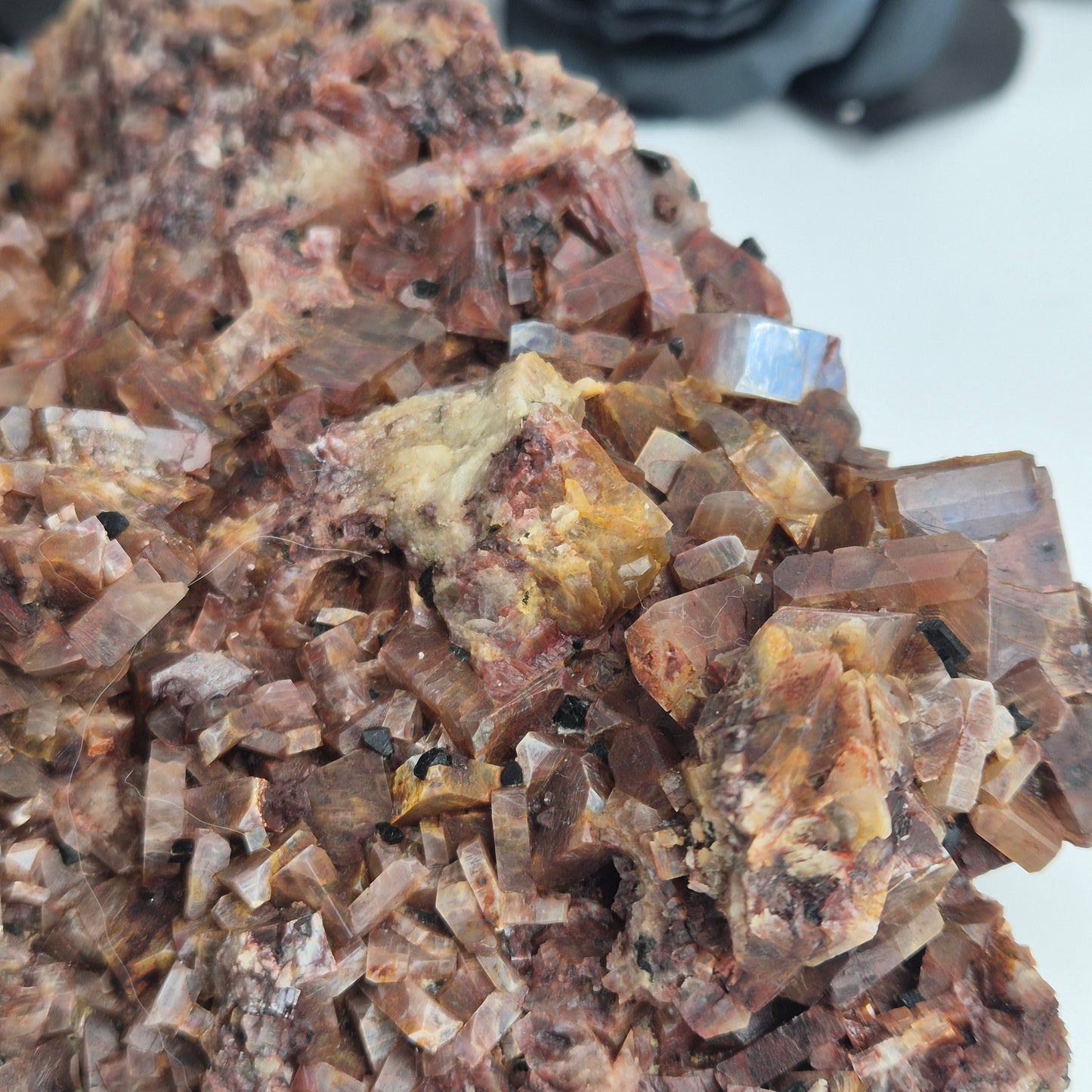 Anorthoclase 10 (Rare)