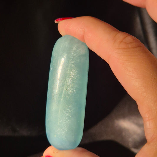 Aquamarine palmstone 1