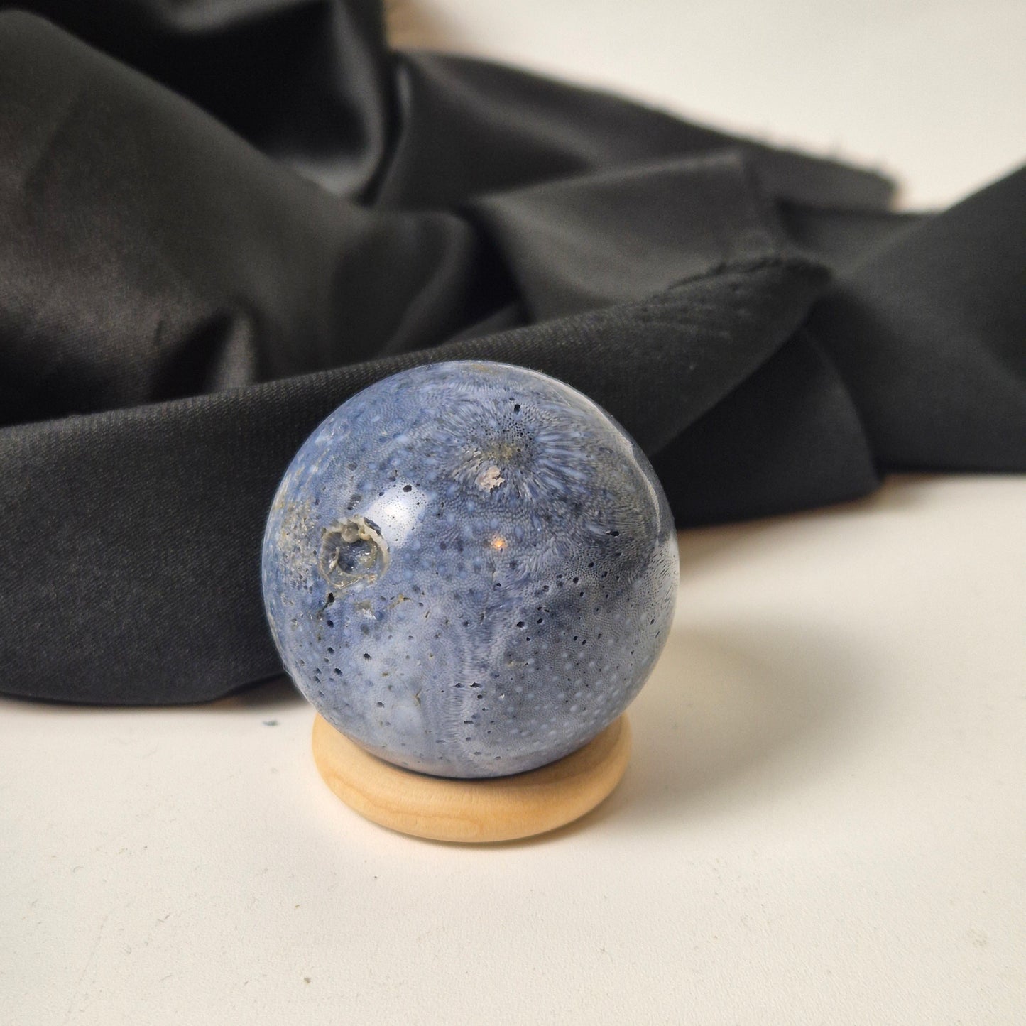 Blue coral sphere 5 (Indonesia)