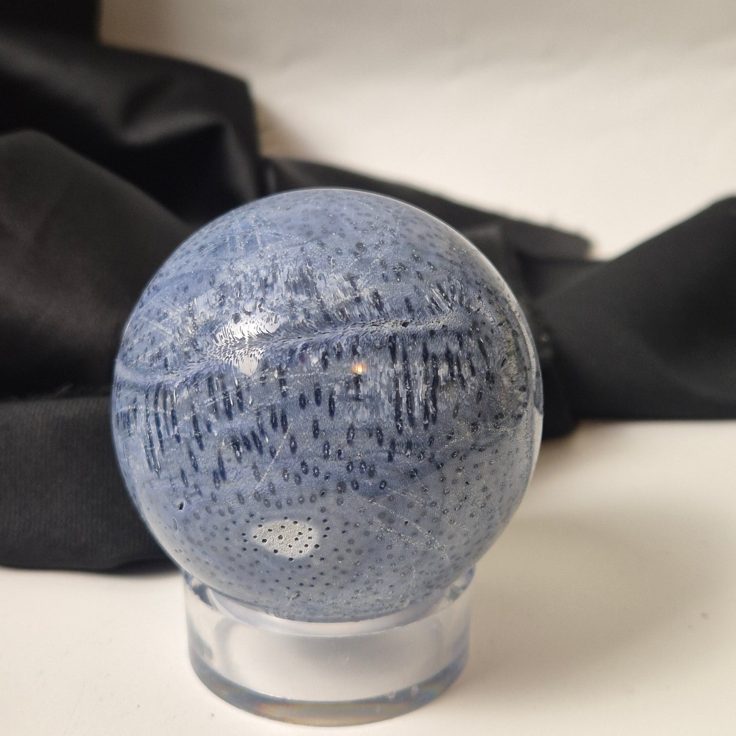 Blue coral sphere 7 (Indonesia)