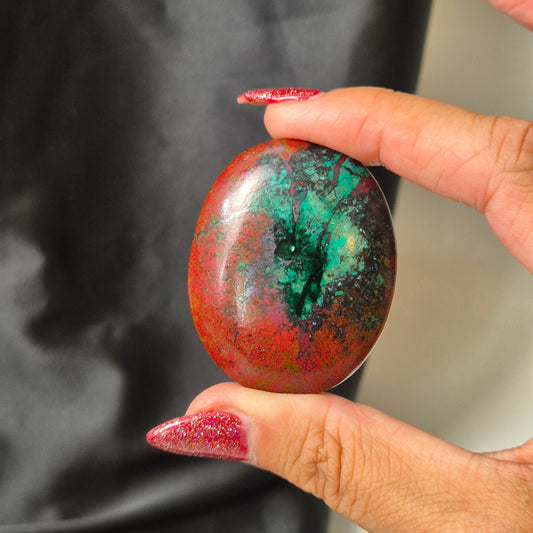 Sonora sunrise jasper palm 180