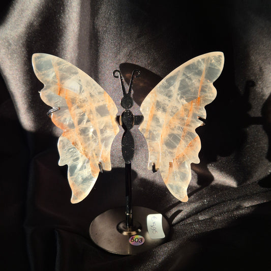 Firequarts butterfly 503