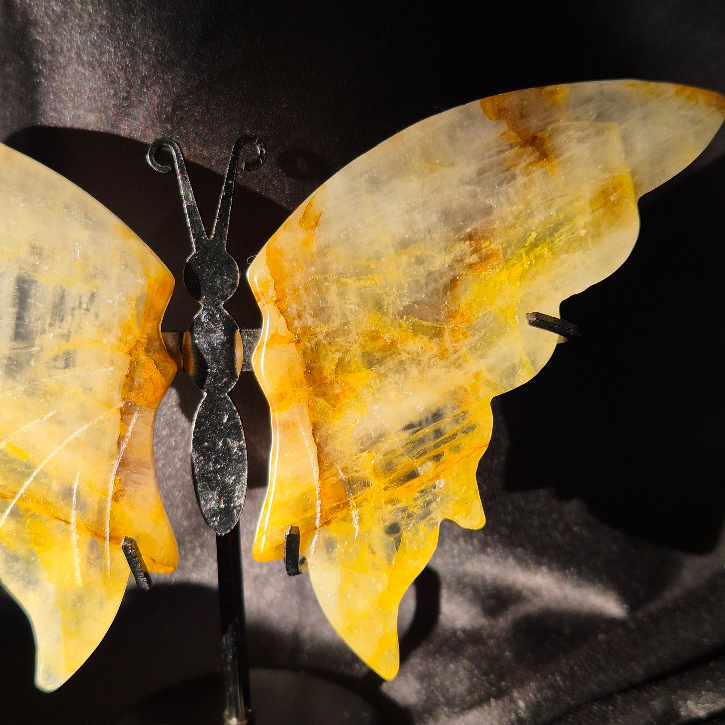 Golden healer butterfly 499