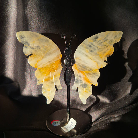 Golden healer butterfly 500