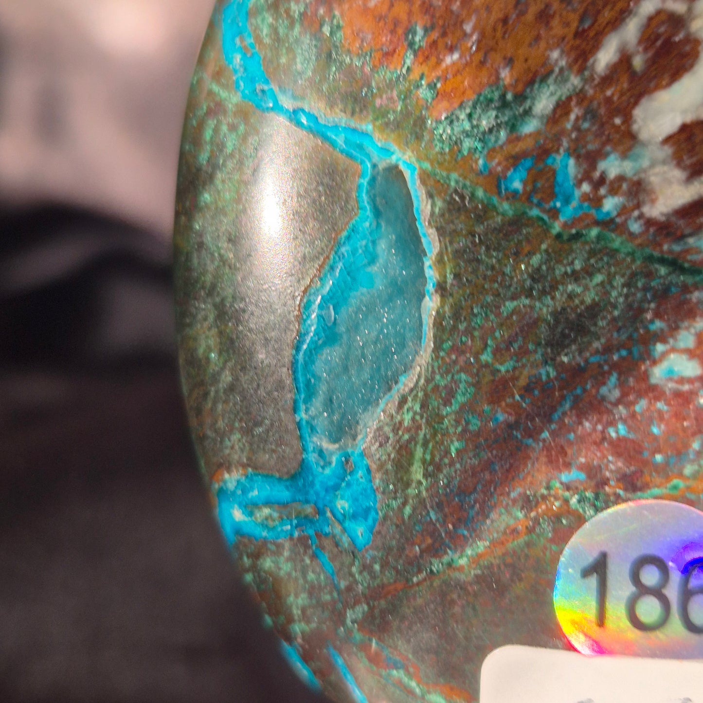 Australian malachite / chrysocolla palm 186