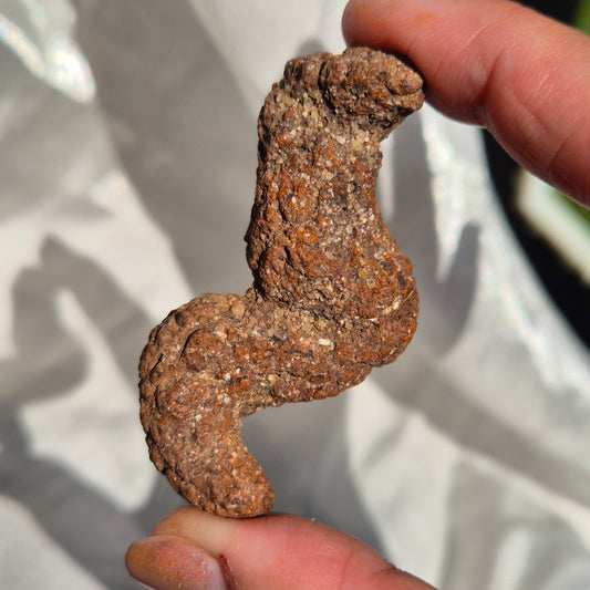 Coprolite big 3