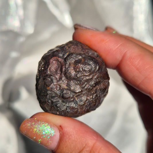 Coprolite round big 1