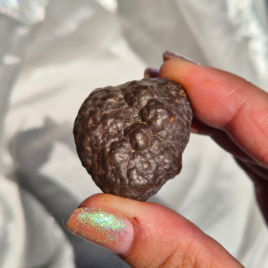 Coprolite round big 3