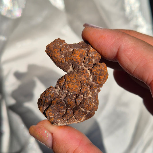 Coprolite small 2