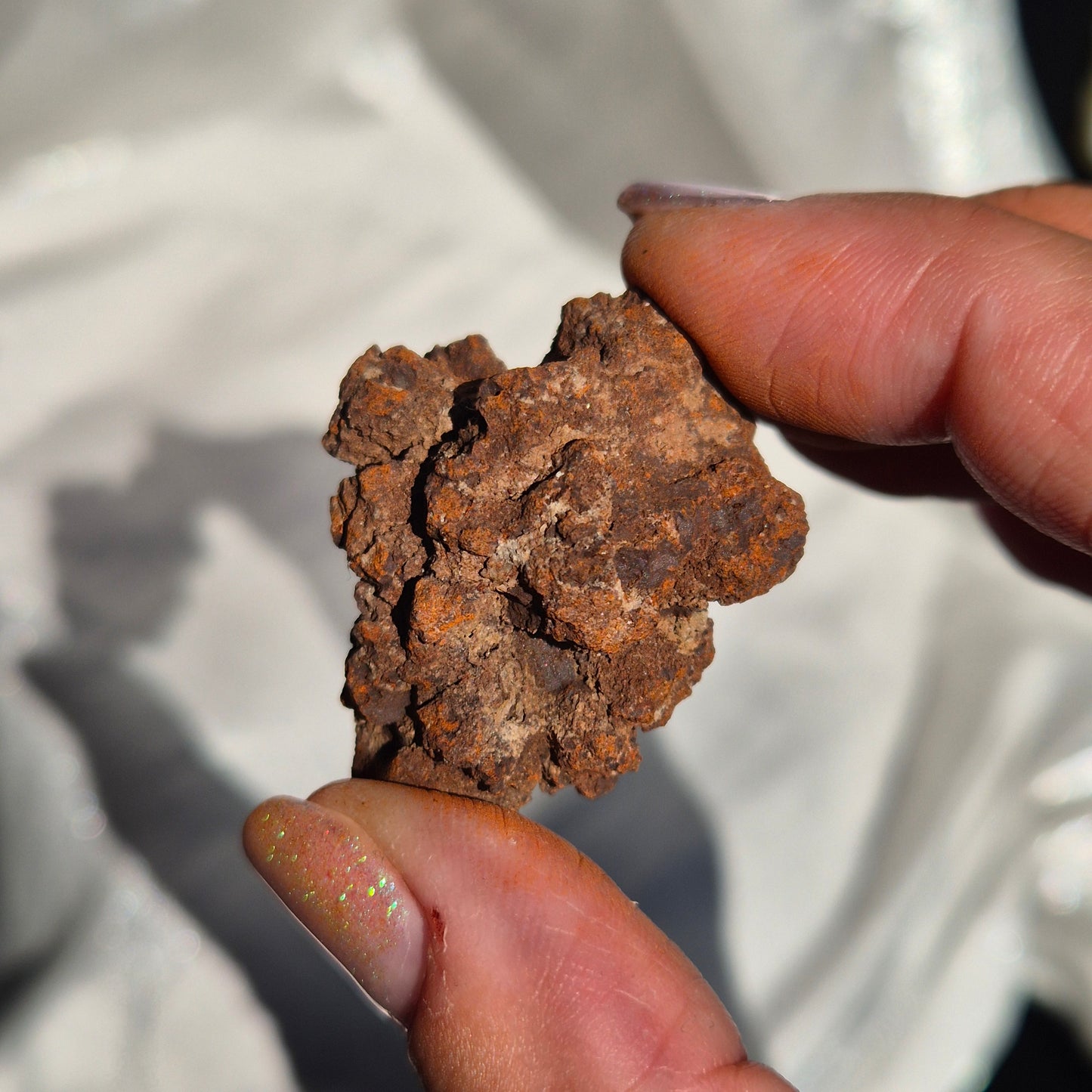 Coprolite small 4