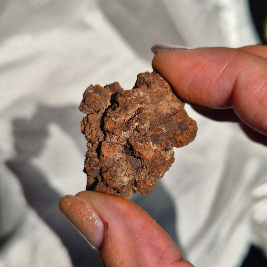 Coprolite small 4