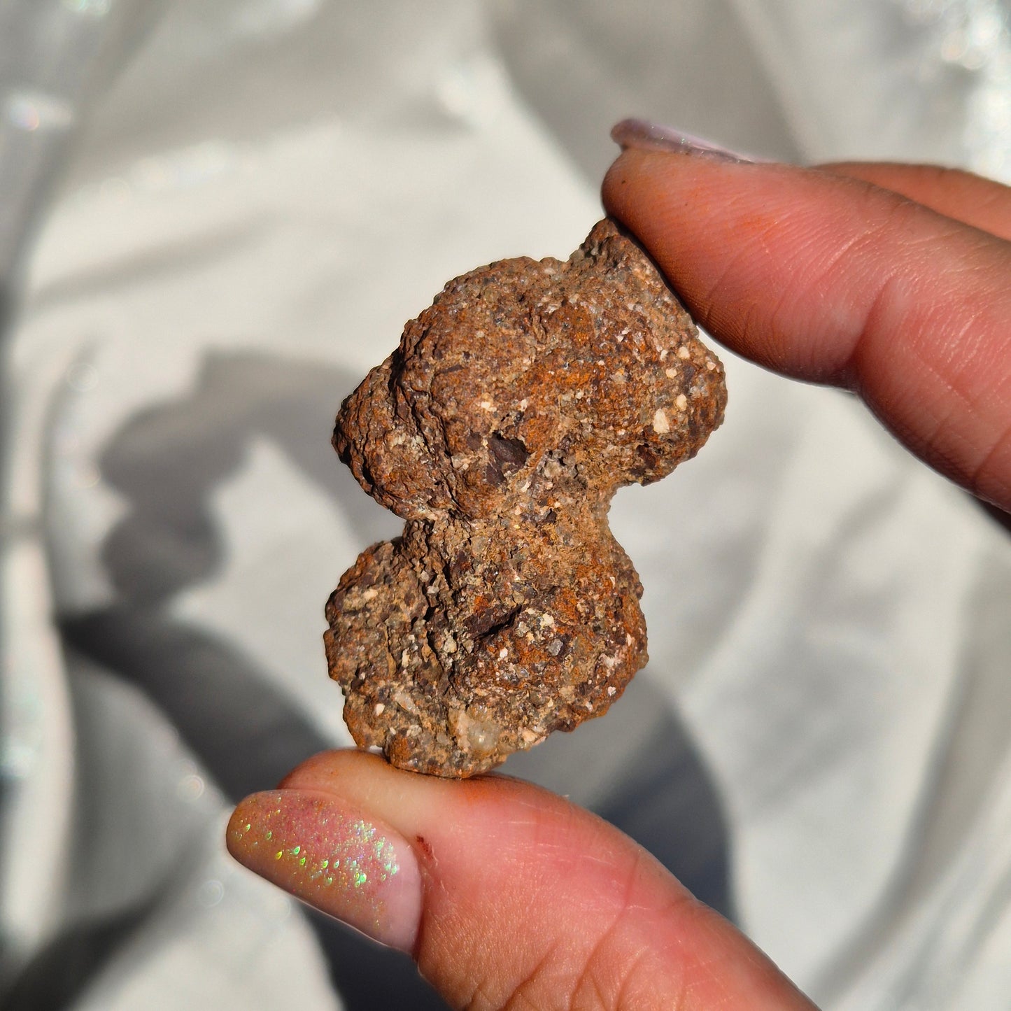 Coprolite small 5