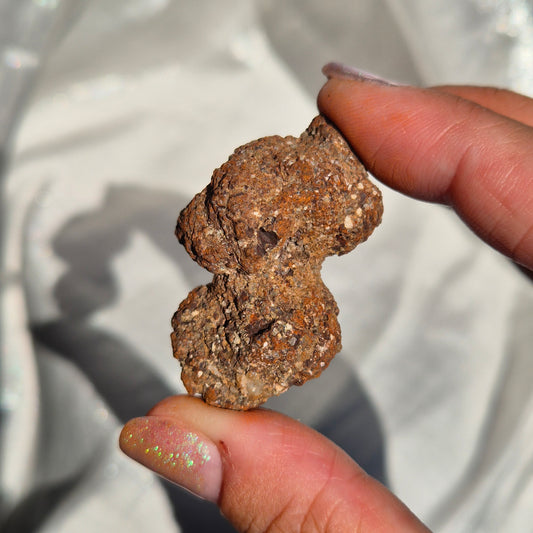 Coprolite small 5