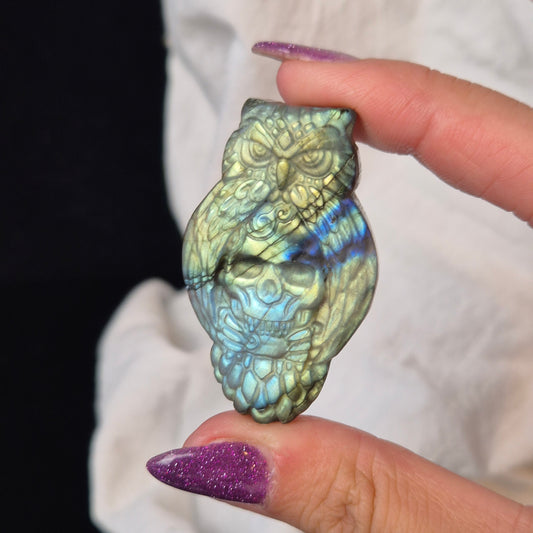 Labradorite skull with owl 4